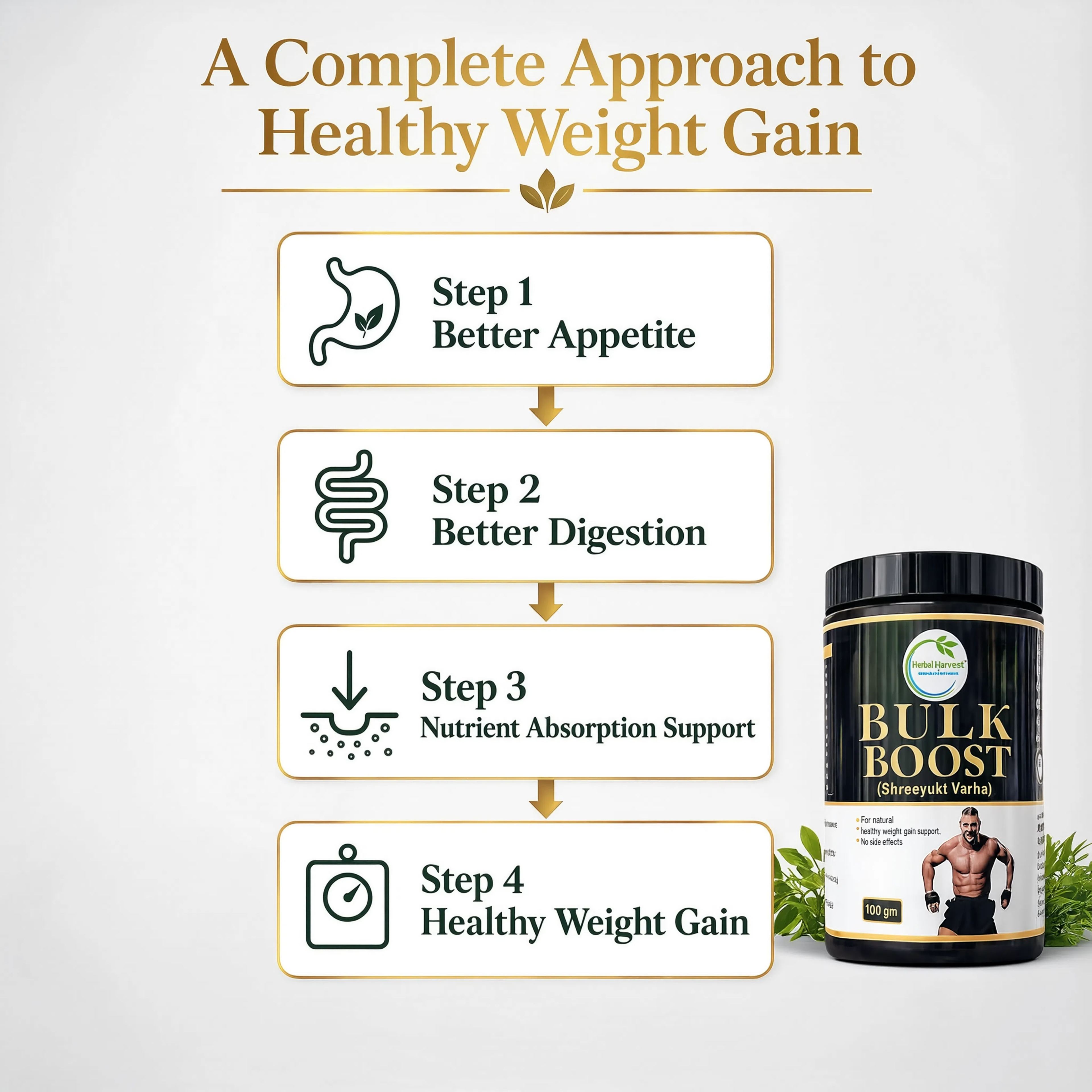 Bulk Boost Powder — Body Weight Gainer