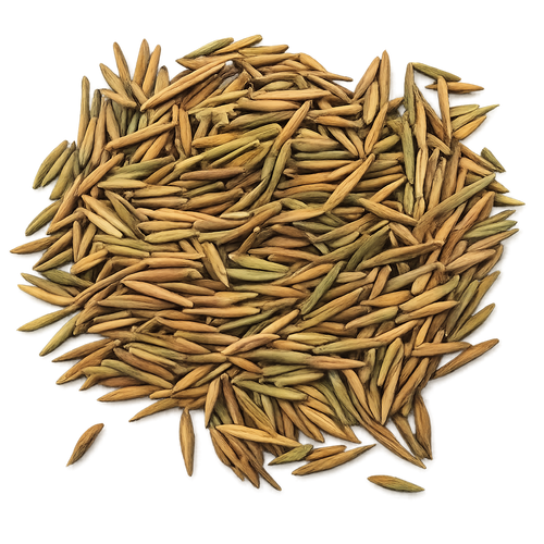 Indrajau