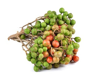 Jamalgota