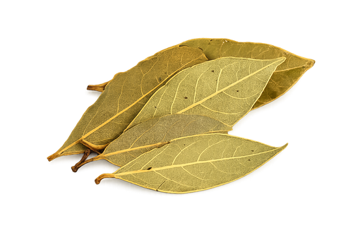 Tejpatra